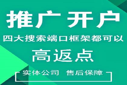 揭秘SEM推广竞价实战案例